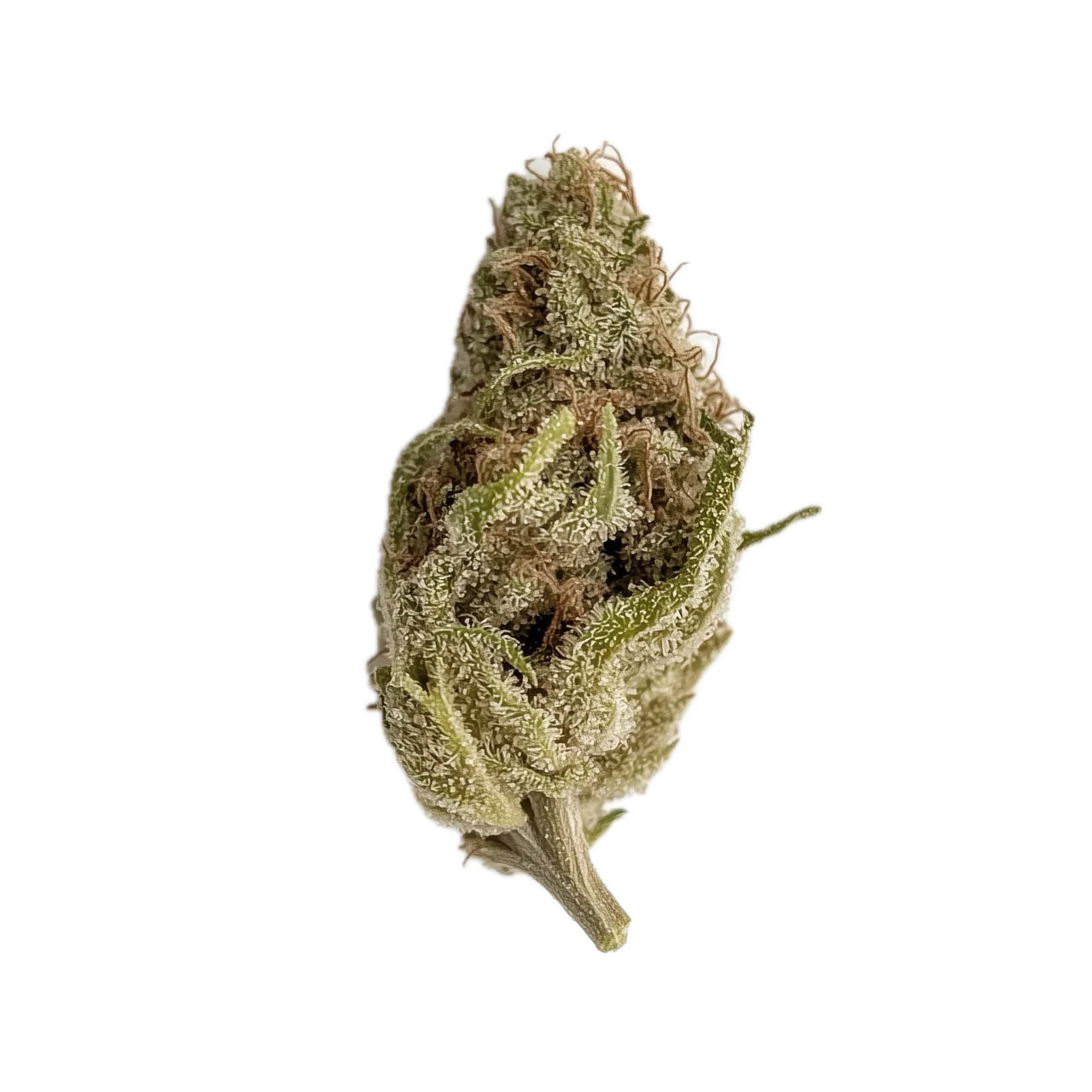 cannabissorten mit hohem thc gehalt